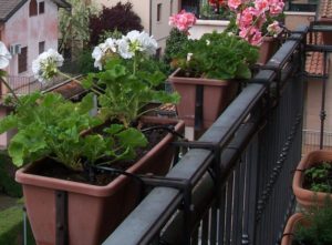 Fiori in balcone