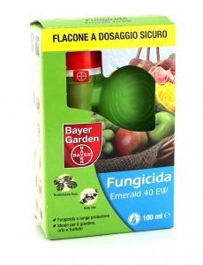 Tebuconazolo contro la ruggine della rosa