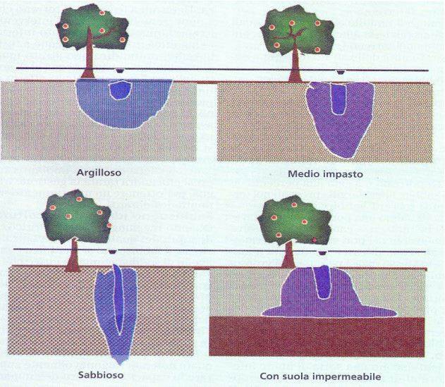 Comportamento acqua irrigazione del vigneto