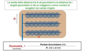 Come utilizzare un Diserbante a base di Glifosate? - Gogoverde