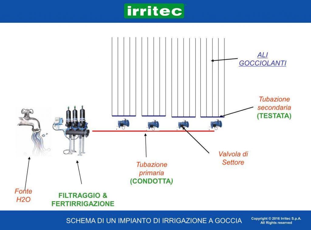 Schema Irrigazione per Vigneto