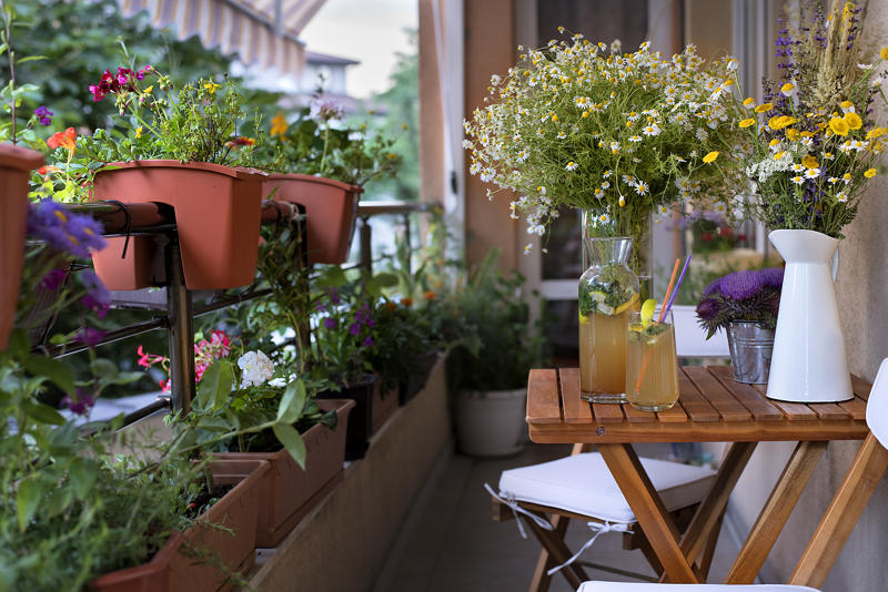 I consigli di Gogoverde per il tuo orto sul balcone - Gogoverde