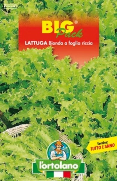 Semi di Lattuga Bionda a Foglia Riccia