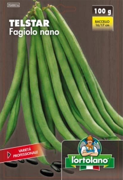 Semi di Fagiolo Nano Telstar 250 grammi