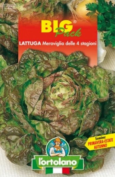 Semi di Lattuga Meraviglia delle 4 Stagioni