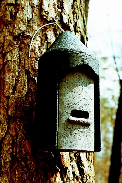 Nido per Pipistrelli Schwegler Bat Box 2F