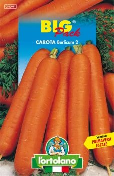 Semi di Carota Berlicum 2