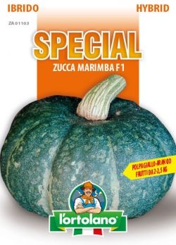 Sementi Ibride di Zucca Marimba F1