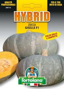 Sementi Ibride di Zucca Giselle F1