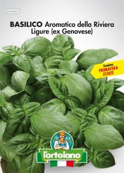 Semi di Basilico Aromatico Genovese