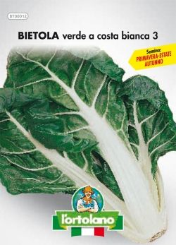 Semi di Bietola Verde a Costa bianca Mini