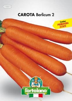 Semi di Carota Berlicum 2