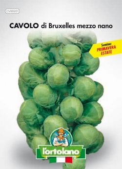 Semi di Cavolo di Bruxelles Mezzo Nano