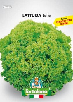 Semi di Lattuga Lollo