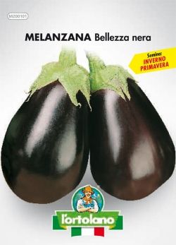 Semi di Melanzana Bellezza Nera