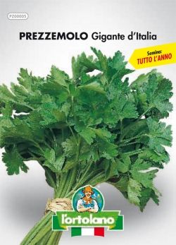 Semi Small di Prezzemolo Gigante d'Italia