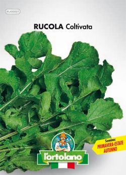 Semi Small di Rucola Coltivata