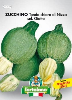 Semi di Zucchino Tondo Chiaro di Nizza