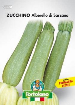 Semi di Zucchino Alberello di Sarzana