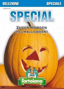 Sementi Ibride di Zucca Howden di Halloween