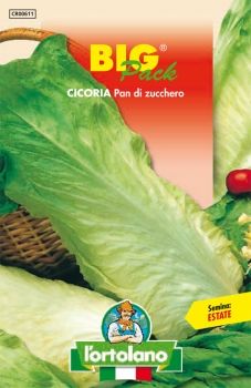 Semi di Cicoria Pan di Zucchero