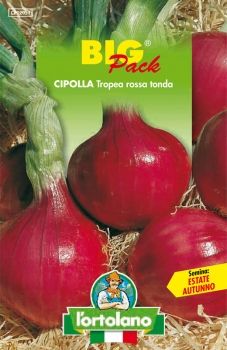Semi di Cipolla di Tropea Rossa Tonda