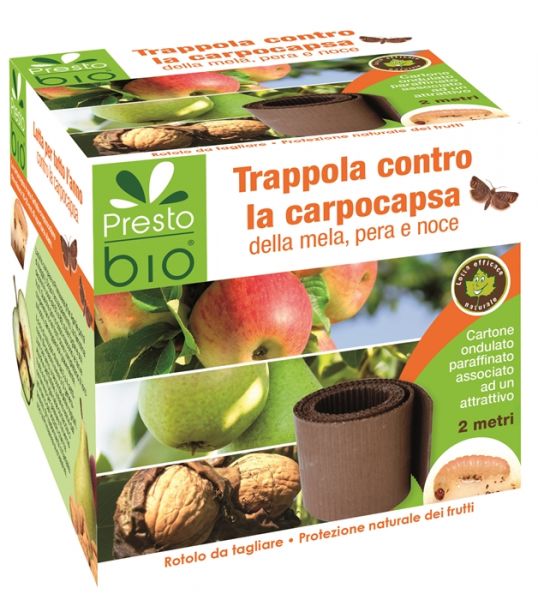 Trappola Biologica a Fascia per la Cattura della Carpocapsa