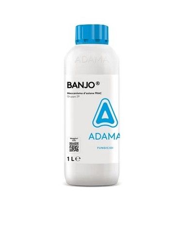 Fungicida di copertura Adama Banjo 1 l