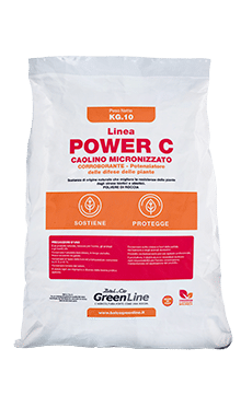 Caolino Micronizzato ExtraFine Bal-Co GreenLine Power C 20