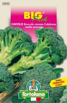 Semi di Cavolo Broccolo Ramoso Calabrese