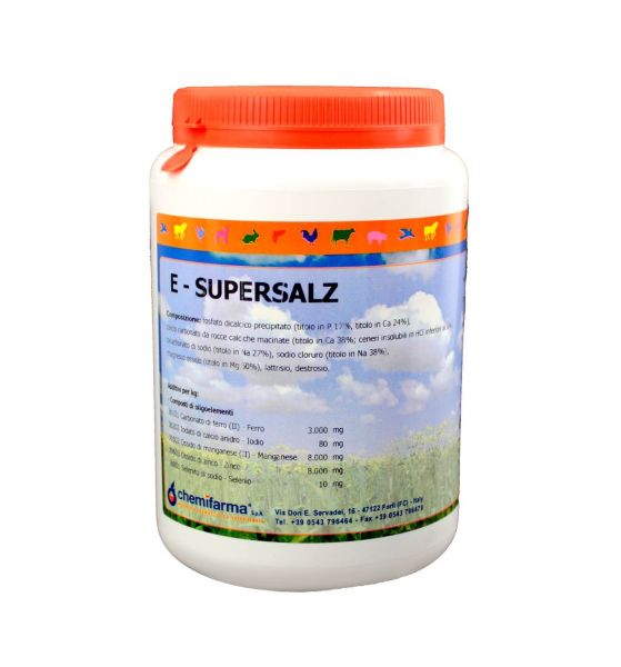 Integratore a base di Sali Minerali E-Supersalz 1 kg