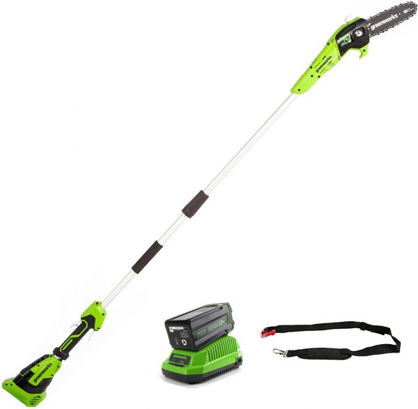 Potatore Modulare a Batteria GreenWorks G40PSF - Barra 20 cm-Starter Kit Batteria 2 Ah + Caricabatterie