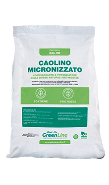 Caolino Corroborante in polvere di roccia Bal-co Green-C 10 kg