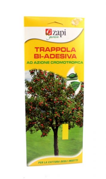 Trappola biadesiva zapi