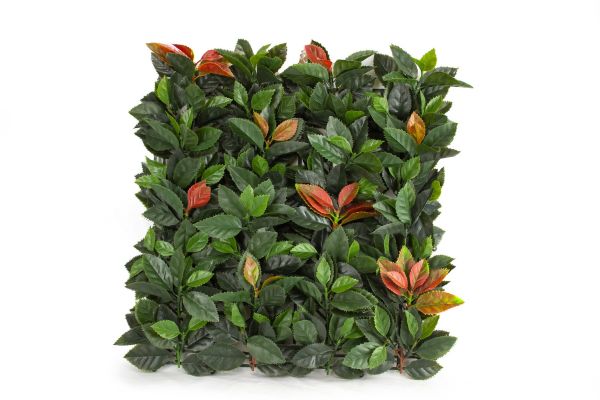 Photinia Artificiale Viridium