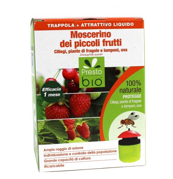 Trappola Presto Bio per la cattura del moscerino dei piccoli frutti