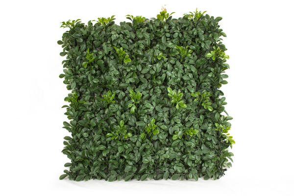 Siepe Artificiale per Esterni - Buxus Viridium 1 mq