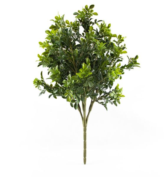 Pianta artificiale da arredo - Viridium Buxus 3d