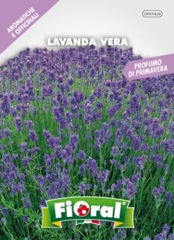 lavanda vera bustina