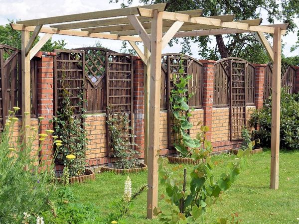 Pergola in Legno di Pino Losa Legnami "ECO"