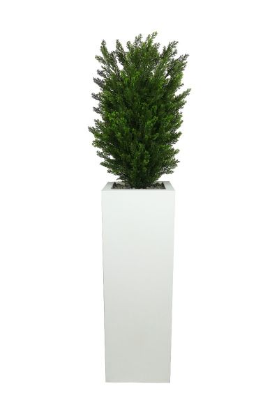 Pianta Artificiale da arredo Viridium - Tuja Ornamentale