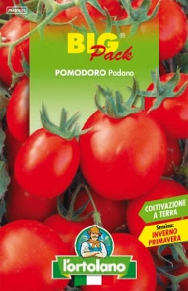 Semi di Pomodoro Padano