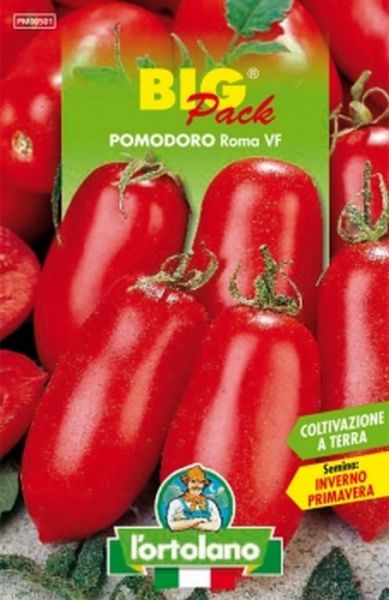 Semi di Pomodoro "Roma"