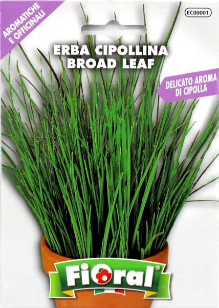 Semi di Erba Cipollina Aromatica