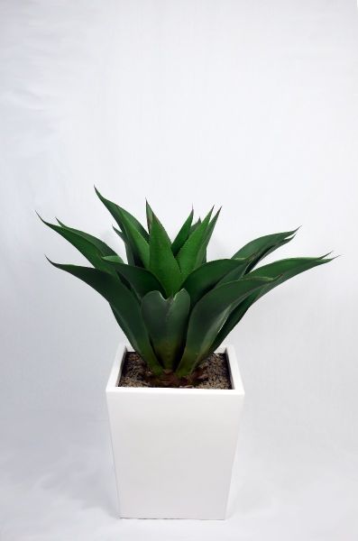 Pianta Artificiale da arredo Viridium - Agave Corta