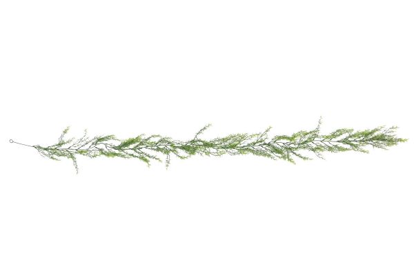 Pianta Artificiale da arredo Viridium - Asparagina Verde