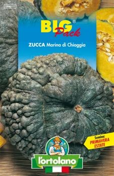 Semi di Zucca Marina di Chioggia