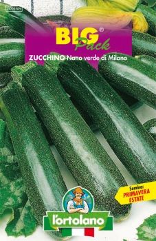 Semi di Zucchino Nano Verde di Milano