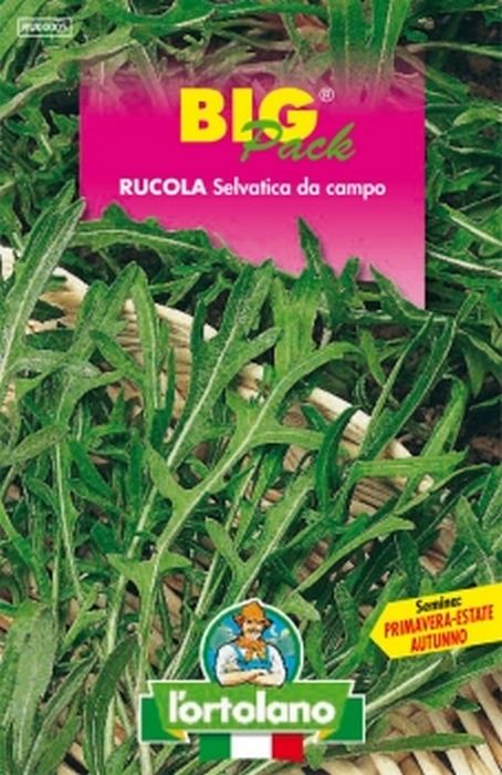 SAFLAX - BIO - Rucola selvatica - 1500 semi - Diplotaxis tenuifolia