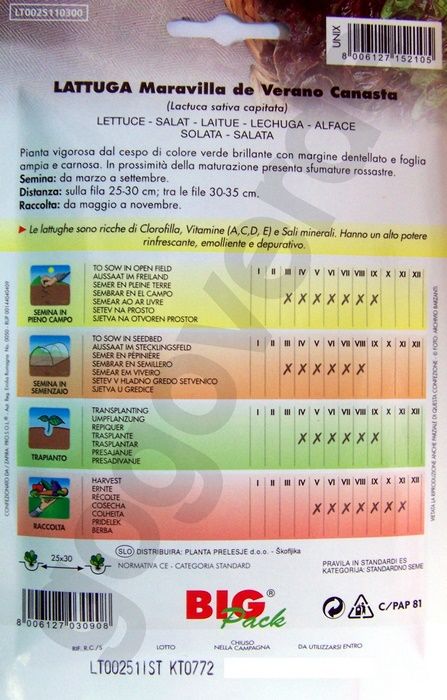 Minigarden Semi Di Lattuga Maravilla De Verano Biologici, Certificati UE, 1500-2100 Semi Per Orto E Vaso, Coltivazione Facile